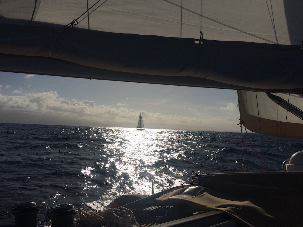 Voilier en contre jour lors de la croisière voile les saintes